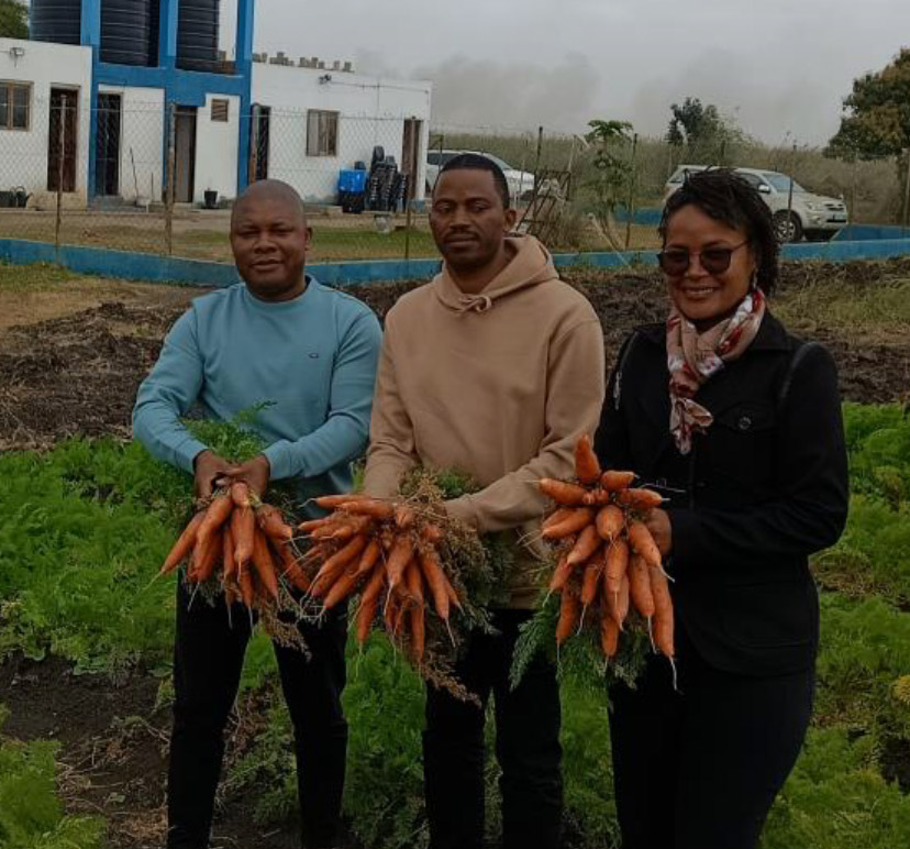 Relatório Técnico da Visita dos Docentes da Academia de Ciências Policiais (ACIPOL) ao Centro de Pesquisa, Treinamento em Energias Renováveis e Produção Sustentável de Alimentos da Universidade Pedagógica de Maputo
