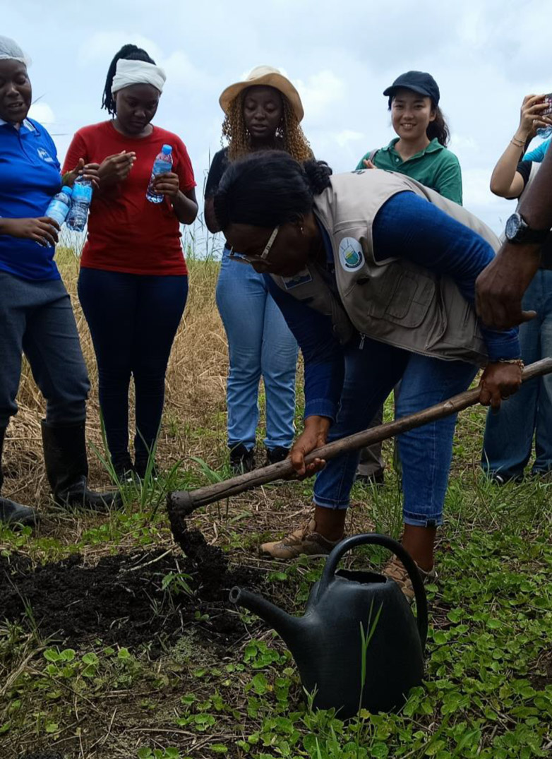 Relatório Técnico do Piquenique Científico no Centro de Pesquisa, Treinamento em Energias Renováveis e Produção Sustentável de Alimentos da Universidade Pedagógica de Maputo