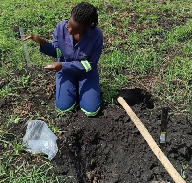 Relatório Técnico da Pesquisa de PH dos Solos do Centro de Pesquisa, Treinamento em Energias Renováveis e Produção Sustentável de Alimentos da Universidade Pedagógica de Maputo